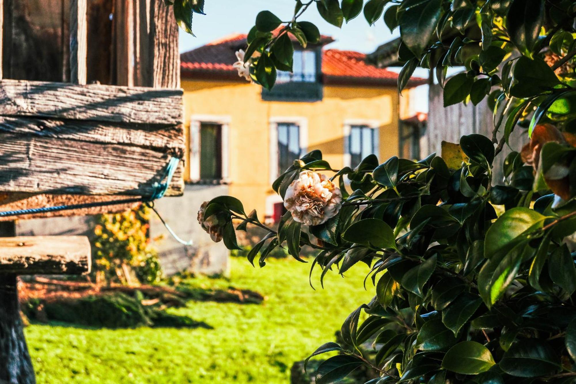 La Casona De Faedo Pension Hotel Exterior photo
